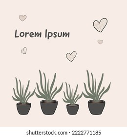 you can write text, flower pots, cute poster