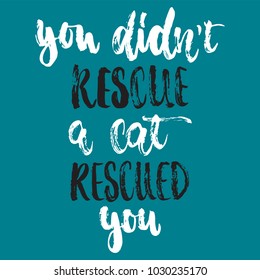 You didn't rescue a cat rescued you- hand drawn lettering phrase for animal lovers on the dark blue background. Fun brush ink vector illustration for banners, greeting card, poster design
