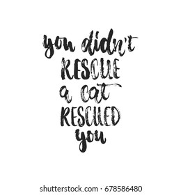 You didn't rescue a cat rescued you - hand drawn dancing lettering quote isolated on the white background. Fun brush ink inscription for photo overlays, greeting card or t-shirt print, poster design.