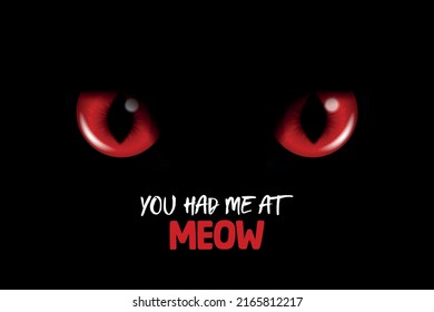 You Had Me At Meow. Vector 3d Realistic Red Cats Eye of a Black Cat. Cat Look in the Dark Black Background Closeup. Glowing Cat Eyes