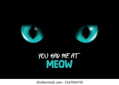 You Had Me At Meow. Vector 3d Realistic Blue Glowing Cats Eyes On Black. Black Cat Look In The Dark Closeup. Glowing Cat Or Panther Big Eyes