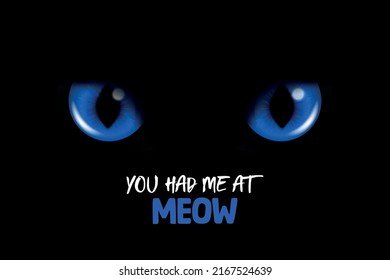 You Had Me At Meow. Vector 3d Realistic Blue Glowing Cats Eyes of a Black Cat. Cat Look in the Dark Black Background Closeup. Glowing Cat or Panther Eyes