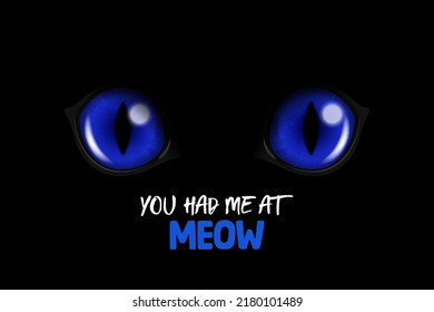 You Had Me At Meow. Vector 3d Realistic Blue Round Glowing Cats Eyes Of A Black Cat. Cat Look In The Dark Black Background Closeup. Glowing Cat Or Panther Eyes