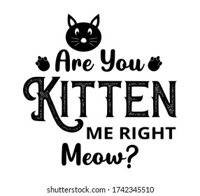 Are you kitten me right meow - text word Hand drawn Lettering card. Modern brush calligraphy t-shirt Vector illustration.inspirational design for posters, flyers, invitations, banners backgrounds .