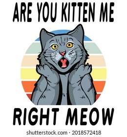 are you kitten me right meow funny cat pun retro design vector illustration for use in design and print poster canvas