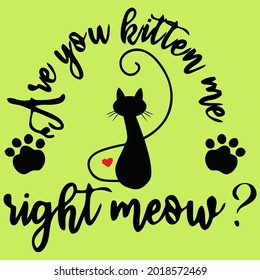 are you kitten me right meow funny cat pun 3 design vector illustration for use in design and print poster canvas