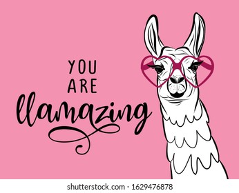You are llamazing - funny vector quotes and llama drawing. Lettering poster or t-shirt textile graphic design. / Amazing llama character illustration on isolated pink background.