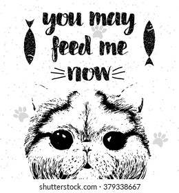 You may feed me now, hand drawn card and lettering calligraphy motivational quote for cat lovers and typographic design. Cute, friendly, smiling, inspirational kitty on textured sparkle background. 