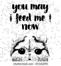 You may feed me now. Sign with cute smiling but hungry cat. Motivational lettering on texture background. Inscriptions for pet lovers. Inspirational typographic calligraphy. Demanding phrase.