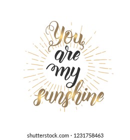 You are my sunshine - Hand made inspirational and motivational quote isolated on white. Lettering calligraphy phrase. Happy Valentine's Day.