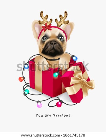 Similar – Image, Stock Photo Christmas dog