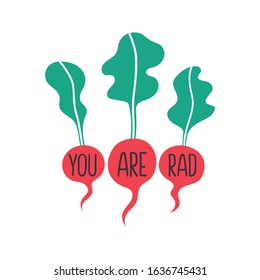 You are rad radish slogan hand drawn poster illustration