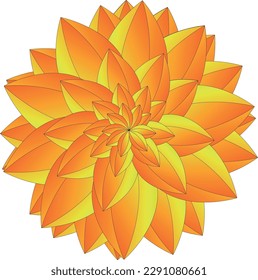 You see a flower with many layers