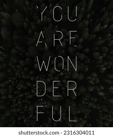 You are wonderful, vector. Minimalist art design. Wording design, lettering isolated on dark forest background. Wall decals, wall art, artwork Home Art decor, Wall Decals, Art Decor, poster design