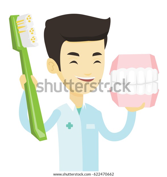 Young Asian Dentist Holding Dental Jaw Stock Vector (Royalty Free ...