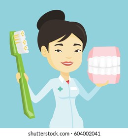 Young asian smiling dentist holding dental jaw model and a toothbrush in hands. Friendly happy dentist showing dental jaw model and toothbrush. Vector flat design illustration. Square layout.