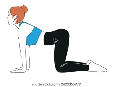 Young, athletic, slender woman practicing yoga and fitness drills. wholesome way of life. cartoon female figures performing  yoga pose isolated on a white background - Vector