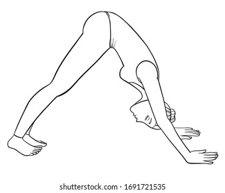 A young barefoot woman is doing yoga. Image of a girl in leggings and tank top standing in asana. Vector outline illustration drawings isolated on a white background.