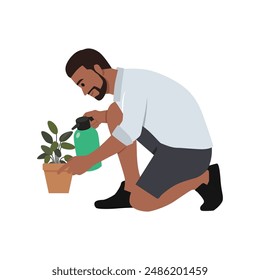 Young bearded man watering Ficus plant kneeling. Flat vector illustration isolated on white background