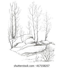 young birch trees, bushes and rocks drawing by ink, sketch of wild nature, forest doodle, hand drawn vector illustration