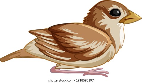 A young bird on white background illustration