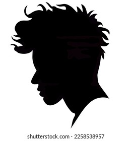 Young Black man with beautifully curled hair an ideal salon appearance.
