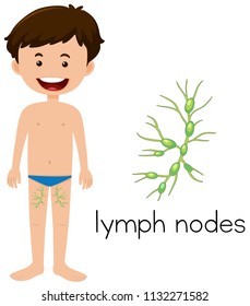 A young boy lymph nodes anatomy illustration