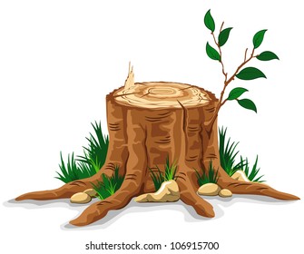 Young branch on the old tree stump. Detailed vector illustration.