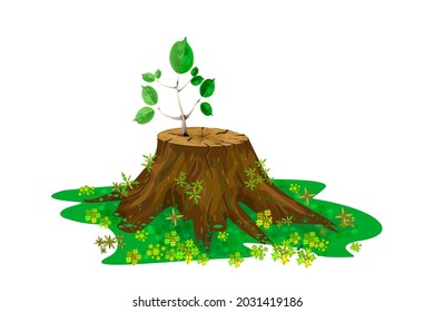 Young branch on the stump isolated on white background.New sprout on tree trunk.One new seedling is growing up on the old stump.New life or rebirth concept.Caring for nature symbol.Vector illustration