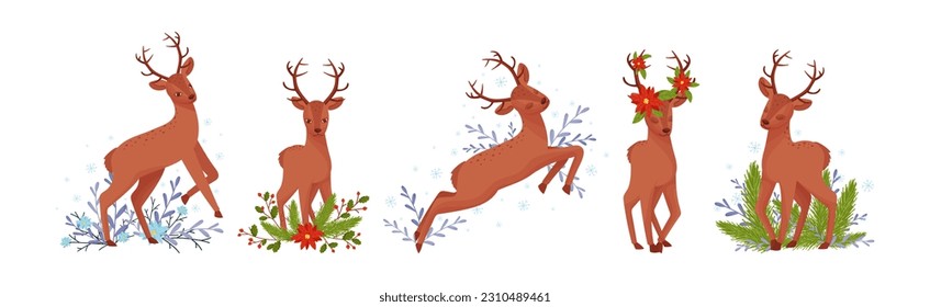 Young Brown Deer with Antlers and Winter Twigs Vector Set