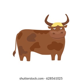 Young bull hand drawn vector illustration isolated on white background. Cute cattle farm animal, domestic livestock in cartoon style.