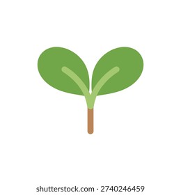 Young Calendula Sprout with Two Leaves Fresh Botanical Vector Illustration