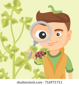 Young caucasian boy looking through a magnifying glass at a ladybug on a plant. Curious little boy using a magnifying glass to explore a ladybug. Vector cartoon illustration. Square layout.