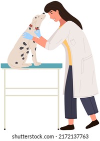 Young caucasian veterinarian examining dog in hospital. Veterinarian doctor checking heartbeat of dog. Medicine and pet care concept. Vet doctor curing pets. Medical center for domestic animals