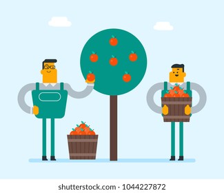 Young caucasian white gardeners collecting apples in the bsket. Farmers harvesting apple harvest in the garden. Vector cartoon illustration. Farming and gardening concept.