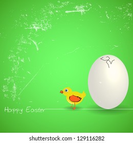 Young chick as easter gift card