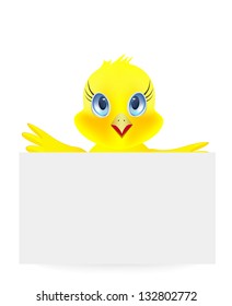 Young chick on a white background
