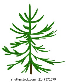 Young Christmas tree vector illustration single