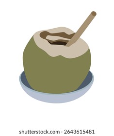 young coconut. Green coconut vector graphics, Young coconut water icon. 