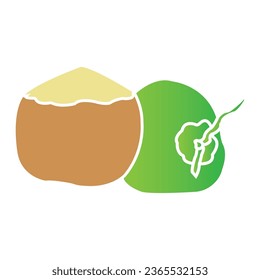 Diseño de ilustración vectorial de iconos de coco jóvenes