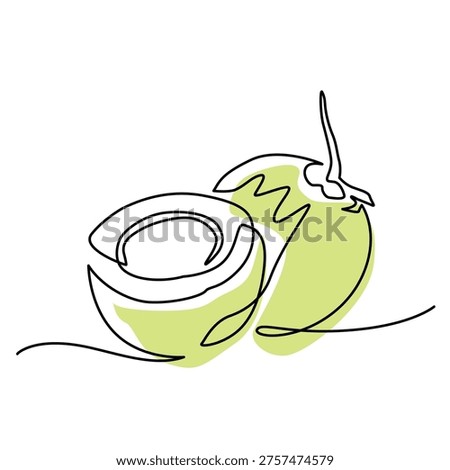 Young coconut one line drawing. Young coconut single line illustration. Young coconut minimalist line art. Young coconut vector art
