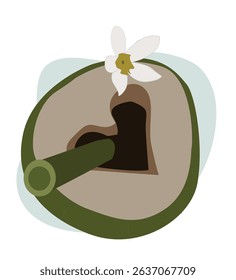 young coconut and straw.  young coconut drink in cartoon style