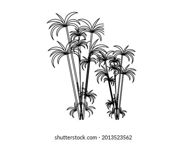 Young coconut tree sketch vector design