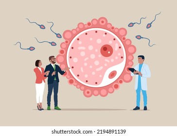 Young couple consulting reproductive doctor, ovum fertilization infographics. For parenthood, pregnancy and fertility topics. Human reproduction and family planning. 