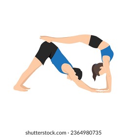 Young couple doing acroyoga, yoga with partner, double downward facing dog yoga pose, adho mukha svanasana. Flat vector illustration isolated on white background