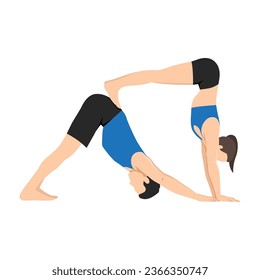 Young couple doing acroyoga, yoga with partner, double downward facing dog yoga pose, adho mukha svanasana. Flat vector illustration isolated on white background