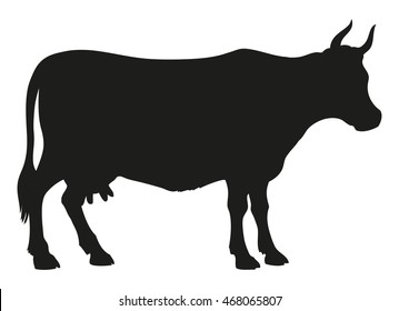 Young cow logo isolated on white backdrop. Dark ink hand drawn background sketchy in art style pen on paper. Side view with space for text