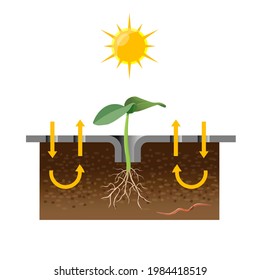 Semillas de pepino jóvenes en el suelo en un corte bajo el esparadrapo del material de cobertura. Protección fitosanitaria. Tecnología agrícola. Ilustración del vector aislada en fondo blanco