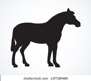 Young cute big funny stripy equid standing in grassland savannah plain. Dark black ink hand drawn zoo logo emblem pictogram in art contour engraved print style on white paper space for text. Side view