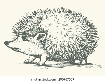 Young cute cheerful hedgehog with sharp prickly needles. Vector monochrome freehand linear ink drawn backdrop sketchy in art antique style pen on paper. Side close-up view with space for text